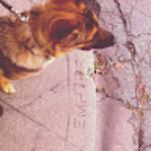 Meet your Posher, Wesley